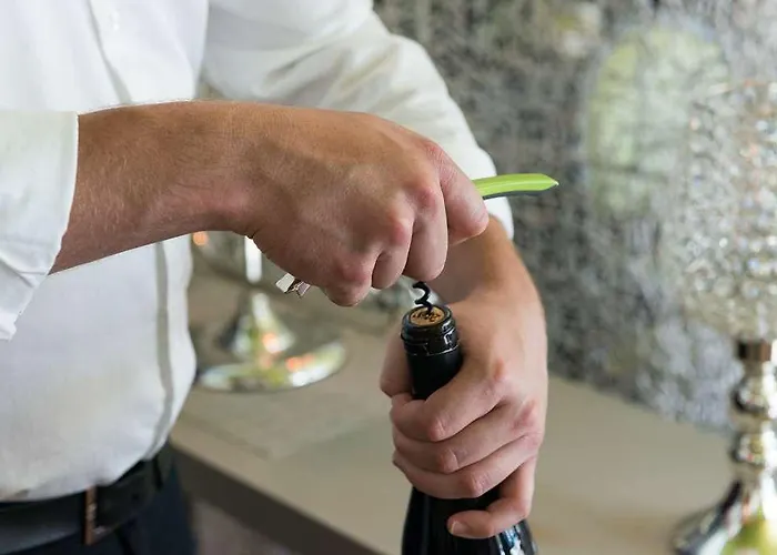 Ogcity Alteora Poitiers Futuroscope *