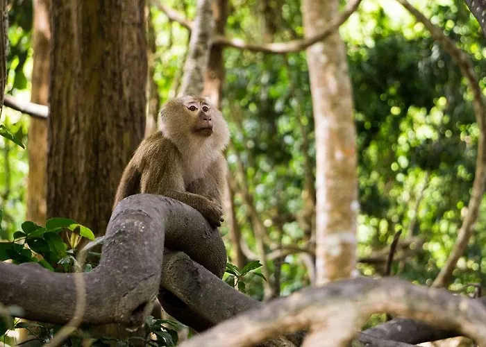 Ogcity Alteora Poitiers Futuroscope Hotel Chasseneuil-du-Poitou